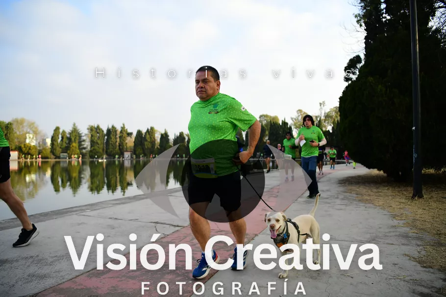 Foto del evento Shrek - CDMX 2026