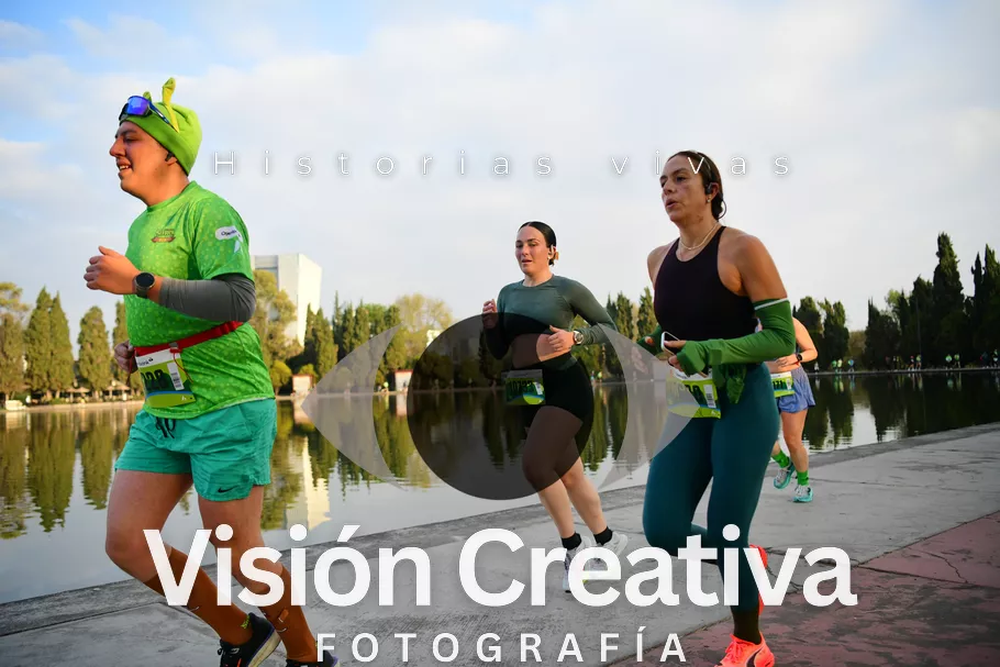 Foto del evento Shrek - CDMX 2026