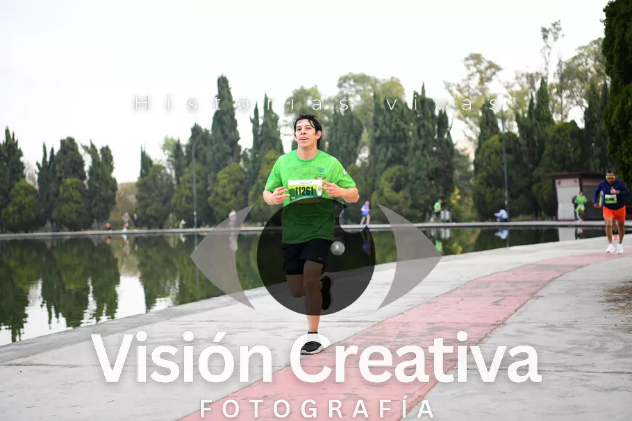 Foto del evento Shrek - CDMX 2026