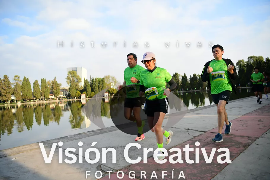 Foto del evento Shrek - CDMX 2026
