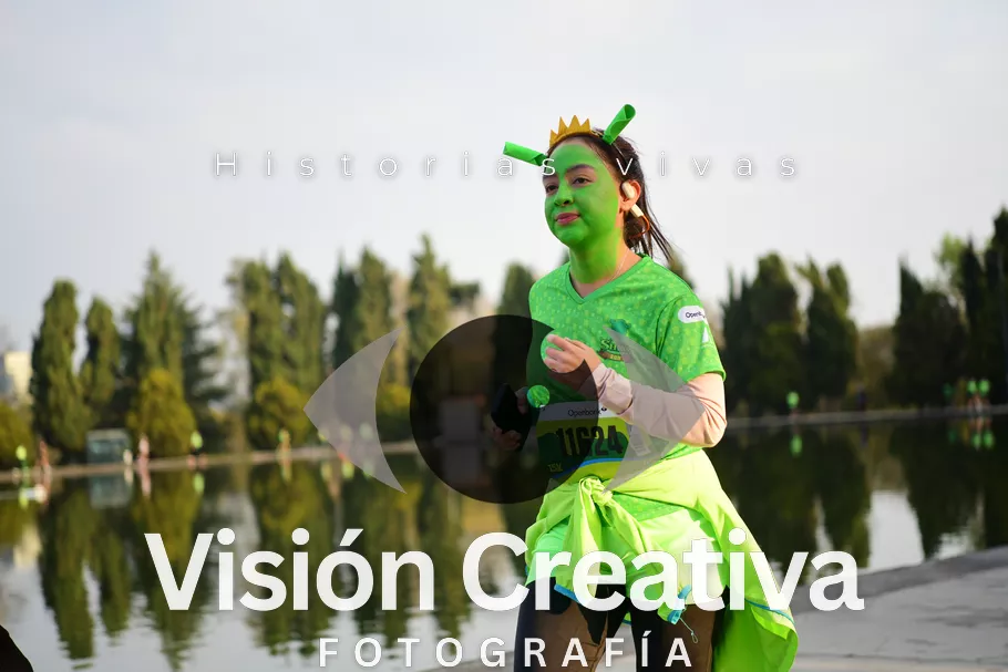 Foto del evento Shrek - CDMX 2026