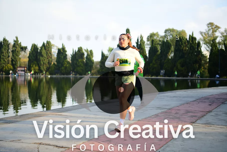 Foto del evento Shrek - CDMX 2026