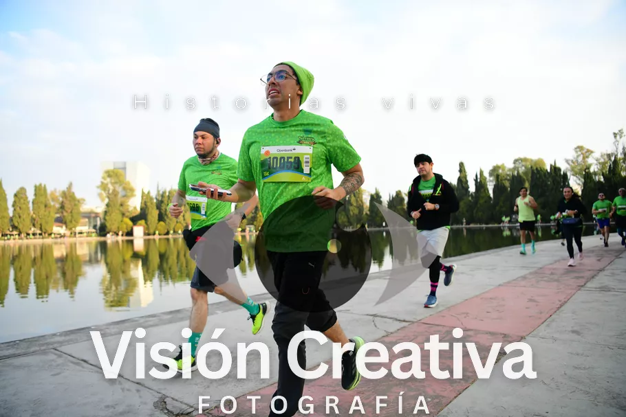 Foto del evento Shrek - CDMX 2026
