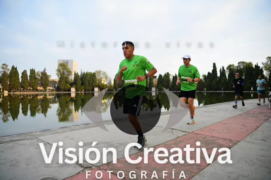 Foto del evento Shrek - CDMX 2026