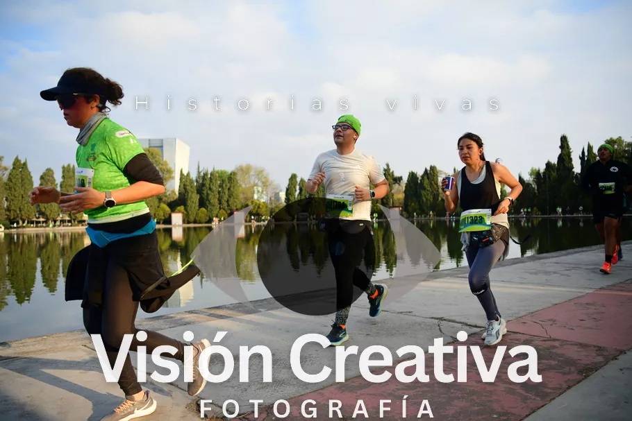 Foto del evento Shrek - CDMX 2026