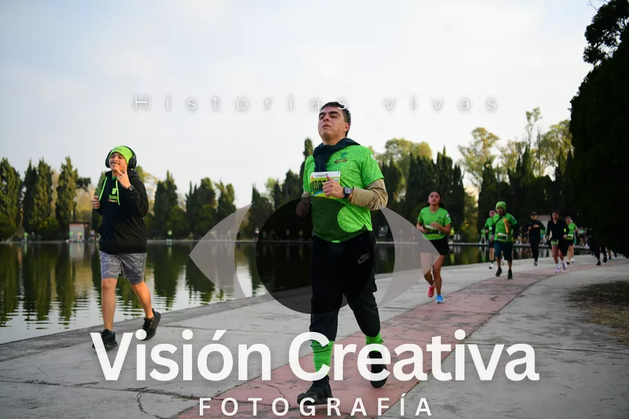 Foto del evento Shrek - CDMX 2026