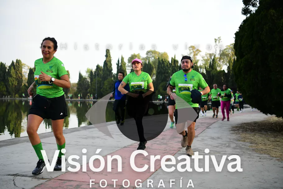 Foto del evento Shrek - CDMX 2026