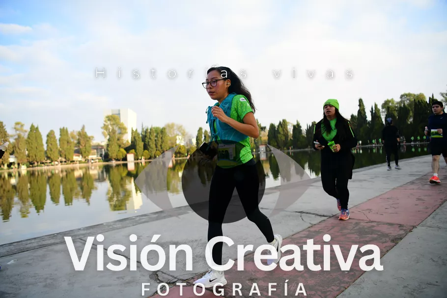 Foto del evento Shrek - CDMX 2026