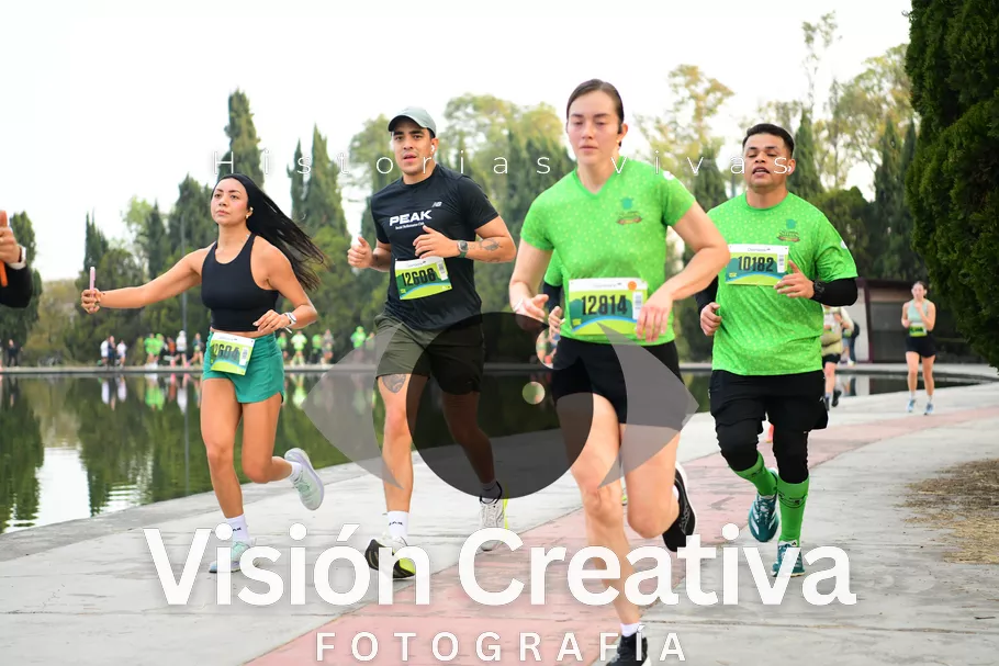 Foto del evento Shrek - CDMX 2026