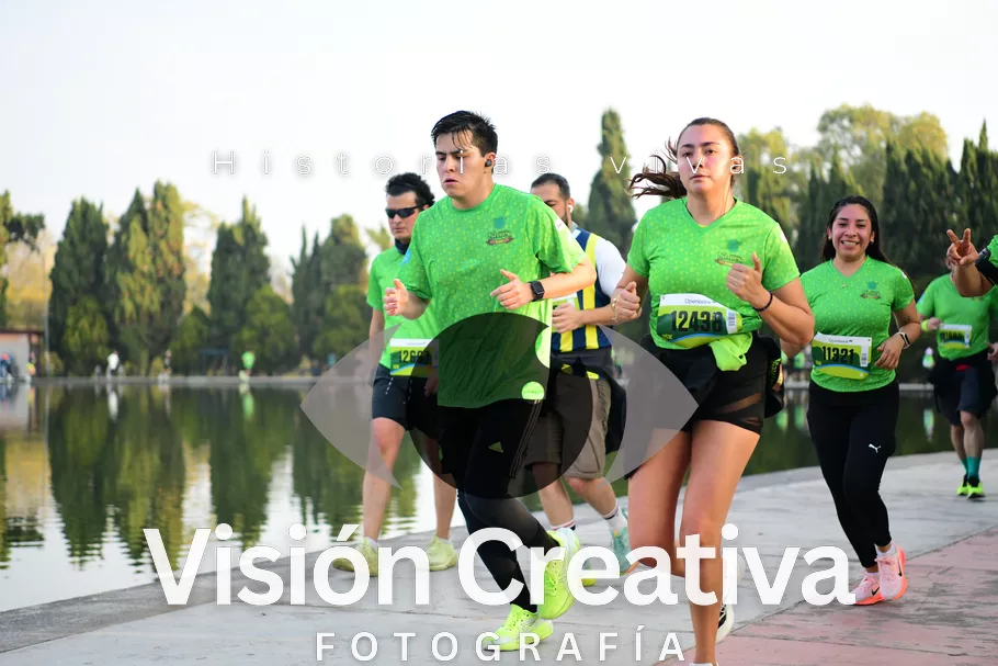 Foto del evento Shrek - CDMX 2026