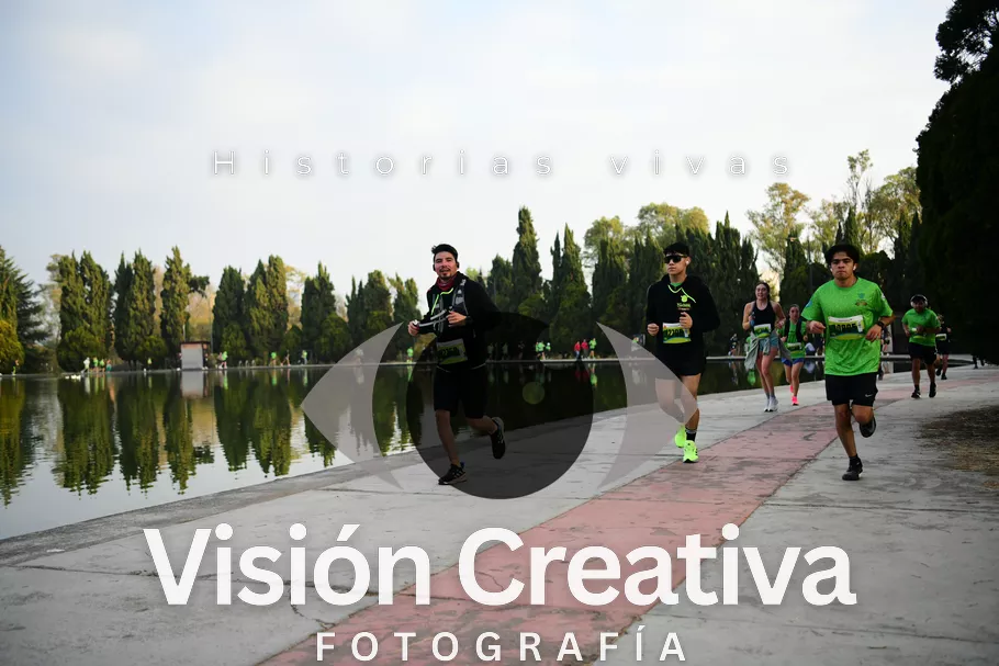 Foto del evento Shrek - CDMX 2026