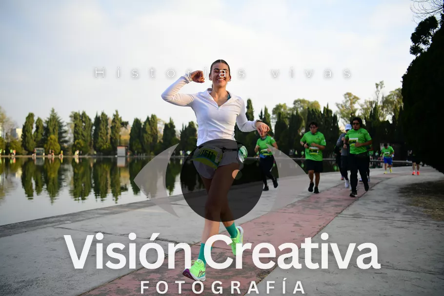 Foto del evento Shrek - CDMX 2026