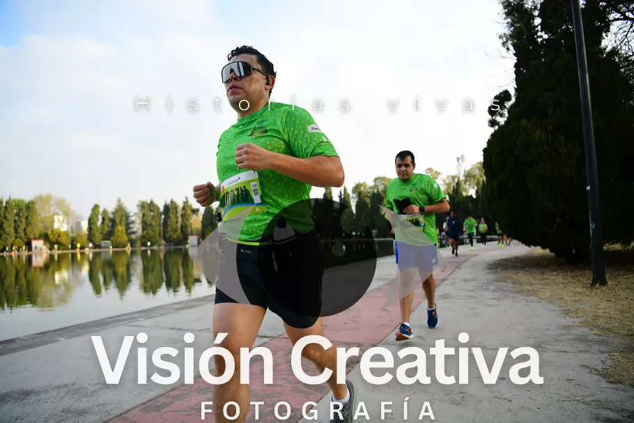 Foto del evento Shrek - CDMX 2026