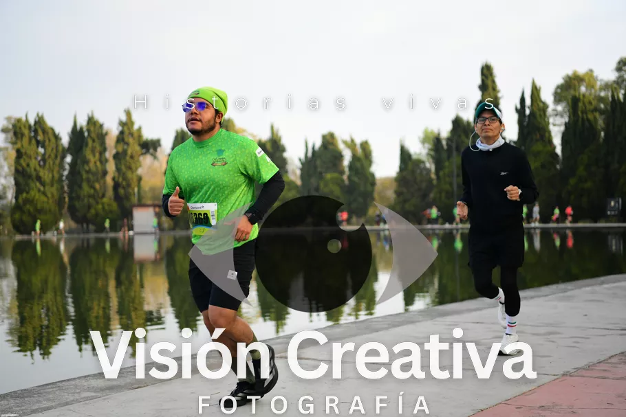 Foto del evento Shrek - CDMX 2026