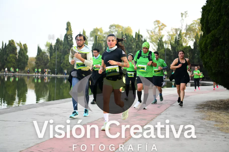 Foto del evento Shrek - CDMX 2026