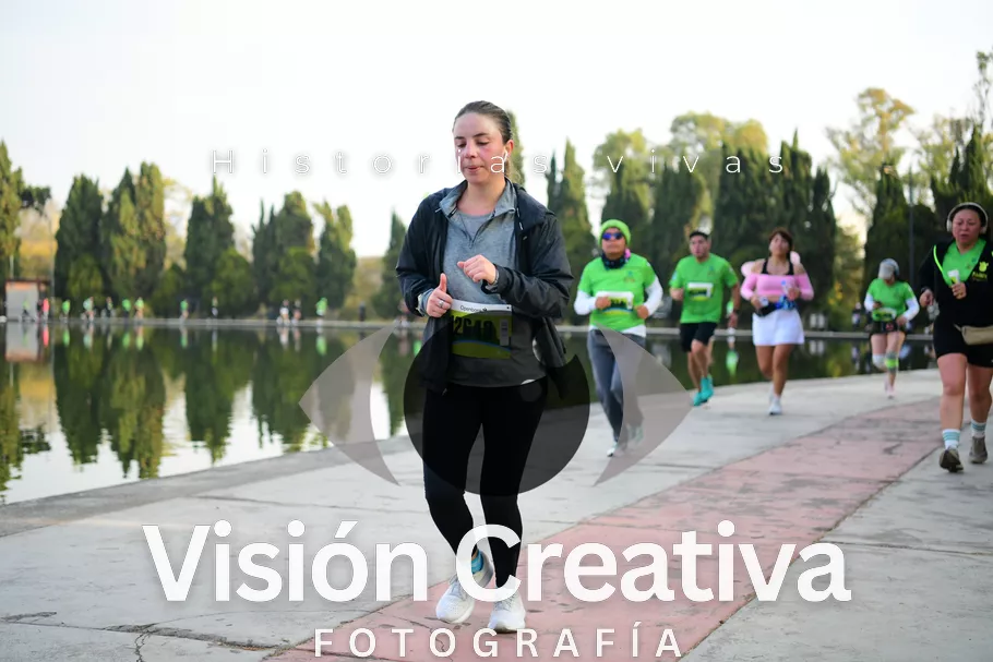 Foto del evento Shrek - CDMX 2026