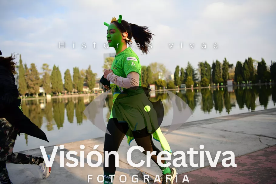 Foto del evento Shrek - CDMX 2026