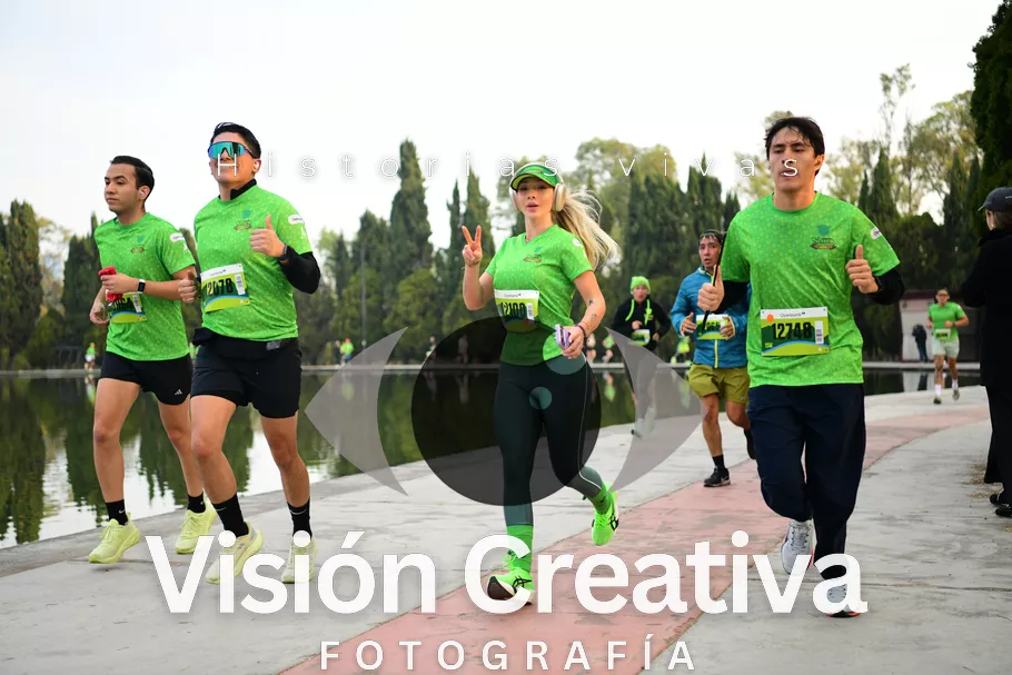 Foto del evento Shrek - CDMX 2026