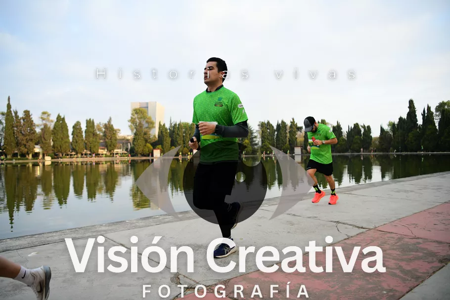Foto del evento Shrek - CDMX 2026