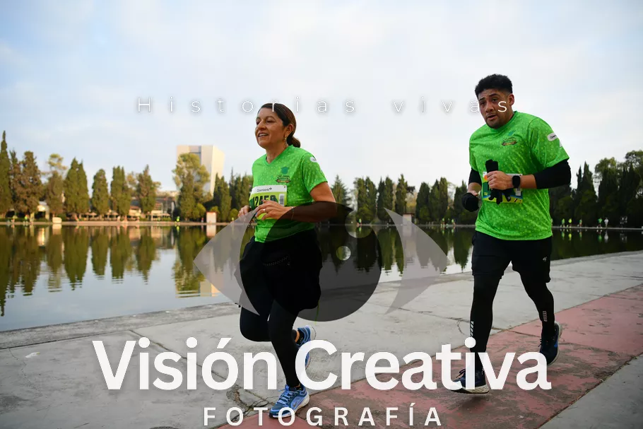 Foto del evento Shrek - CDMX 2026