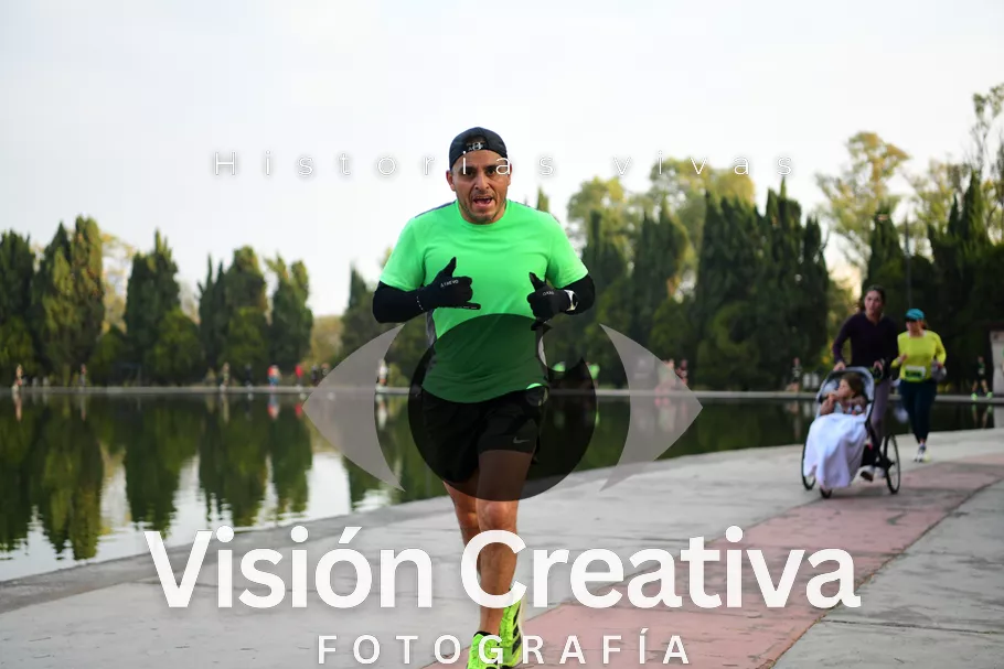 Foto del evento Shrek - CDMX 2026