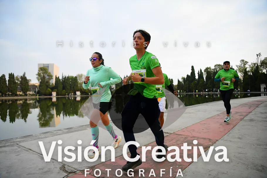 Foto del evento Shrek - CDMX 2026