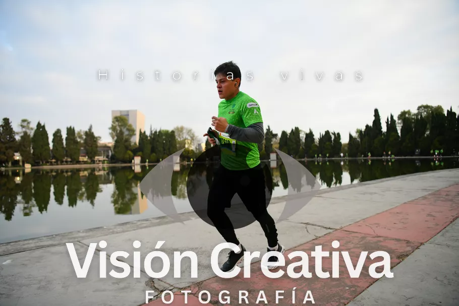 Foto del evento Shrek - CDMX 2026