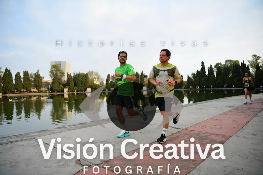 Foto del evento Shrek - CDMX 2026