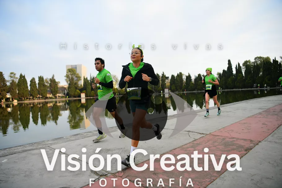 Foto del evento Shrek - CDMX 2026