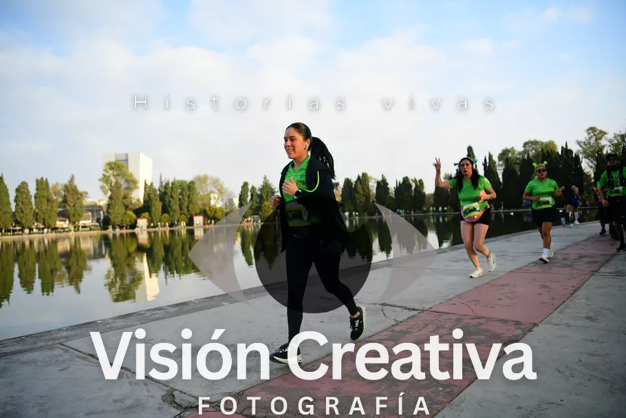 Foto del evento Shrek - CDMX 2026