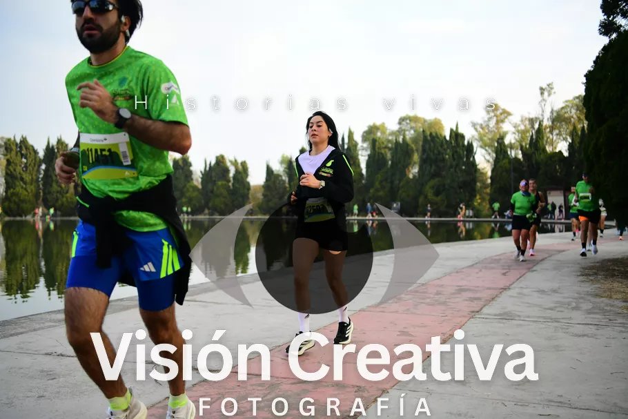 Foto del evento Shrek - CDMX 2026