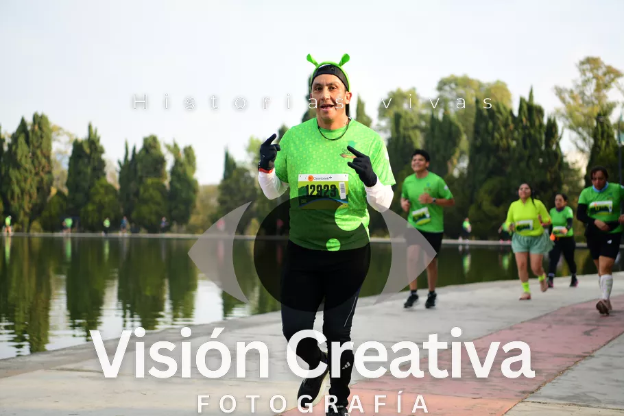 Foto del evento Shrek - CDMX 2026