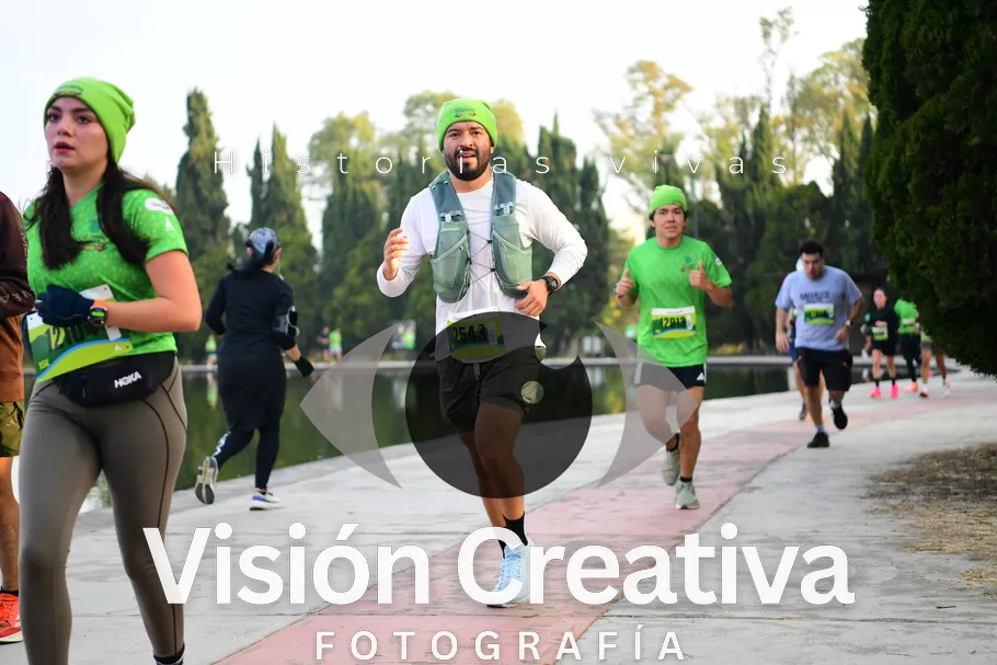 Foto del evento Shrek - CDMX 2026