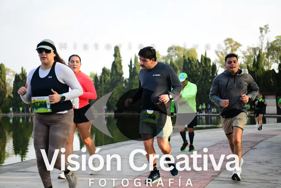 Foto del evento Shrek - CDMX 2026