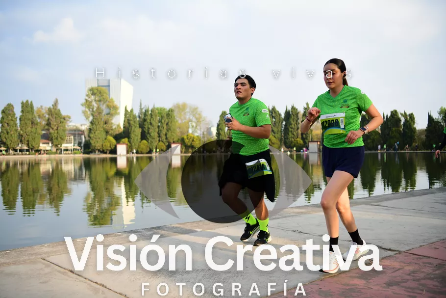 Foto del evento Shrek - CDMX 2026