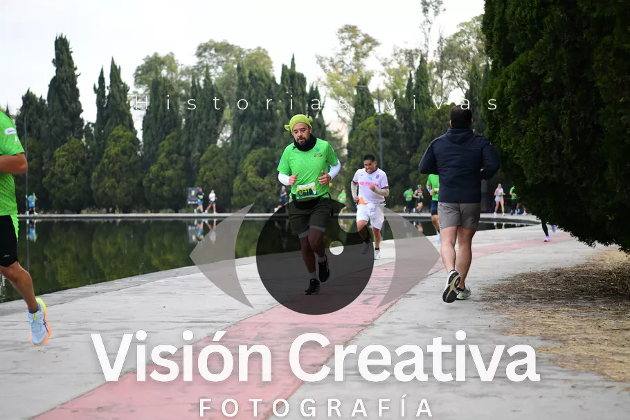 Foto del evento Shrek - CDMX 2026