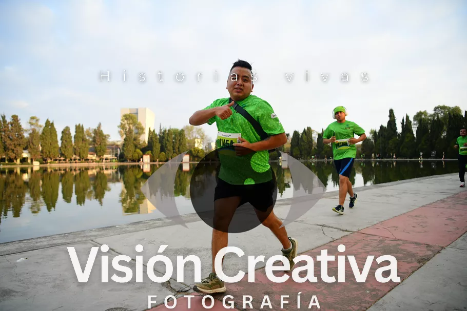 Foto del evento Shrek - CDMX 2026