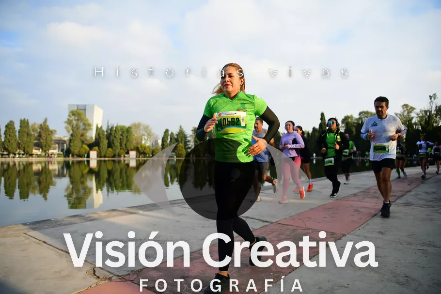 Foto del evento Shrek - CDMX 2026