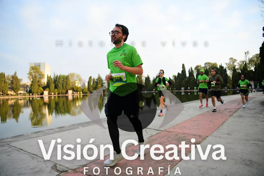 Foto del evento Shrek - CDMX 2026