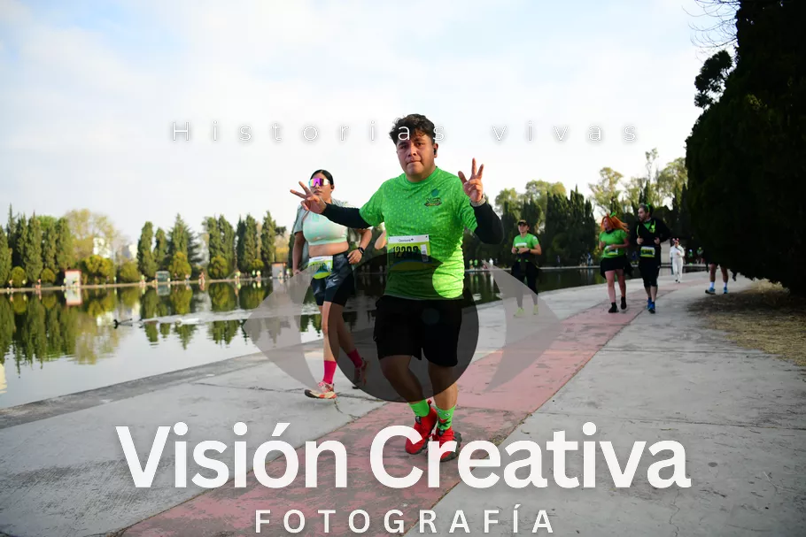 Foto del evento Shrek - CDMX 2026