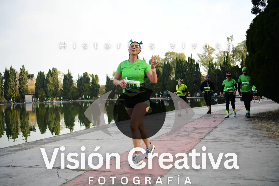 Foto del evento Shrek - CDMX 2026