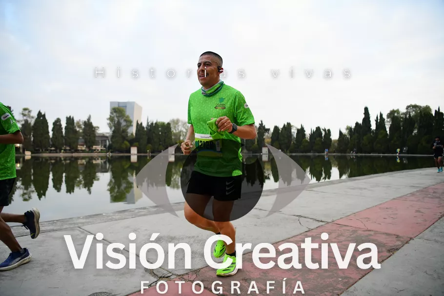 Foto del evento Shrek - CDMX 2026