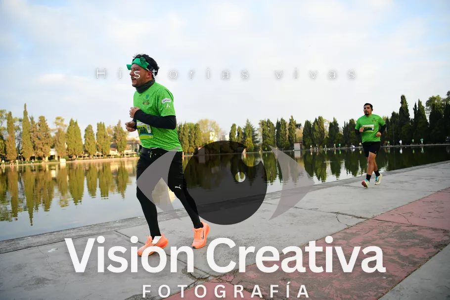 Foto del evento Shrek - CDMX 2026