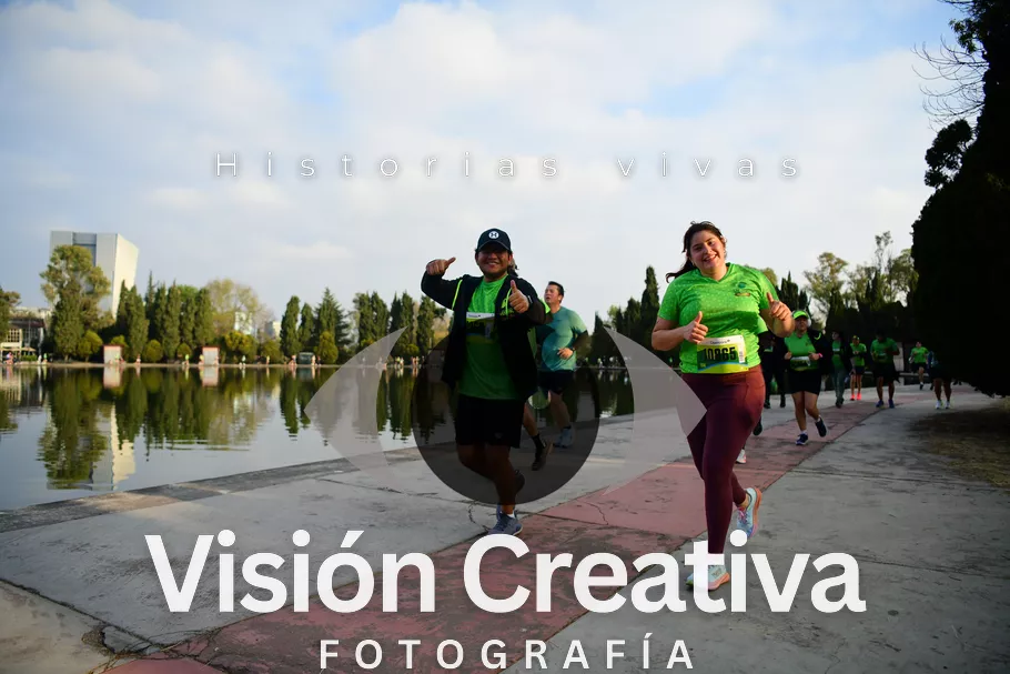 Foto del evento Shrek - CDMX 2026