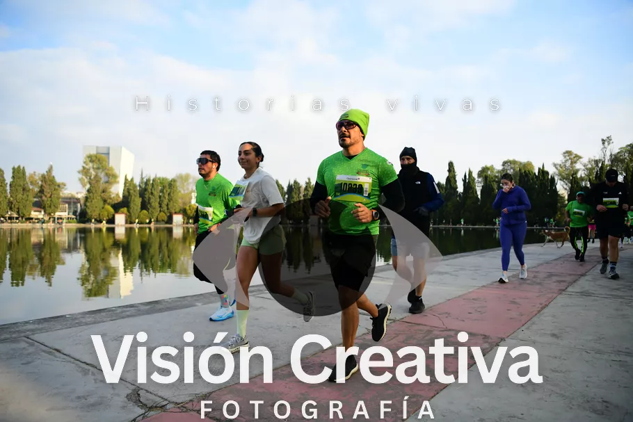 Foto del evento Shrek - CDMX 2026
