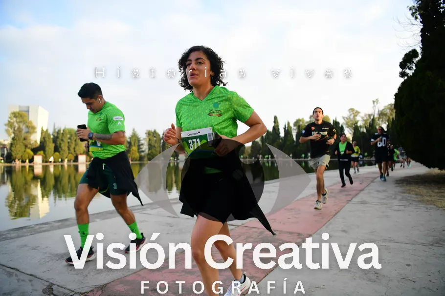 Foto del evento Shrek - CDMX 2026