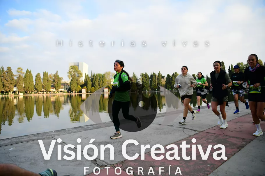 Foto del evento Shrek - CDMX 2026