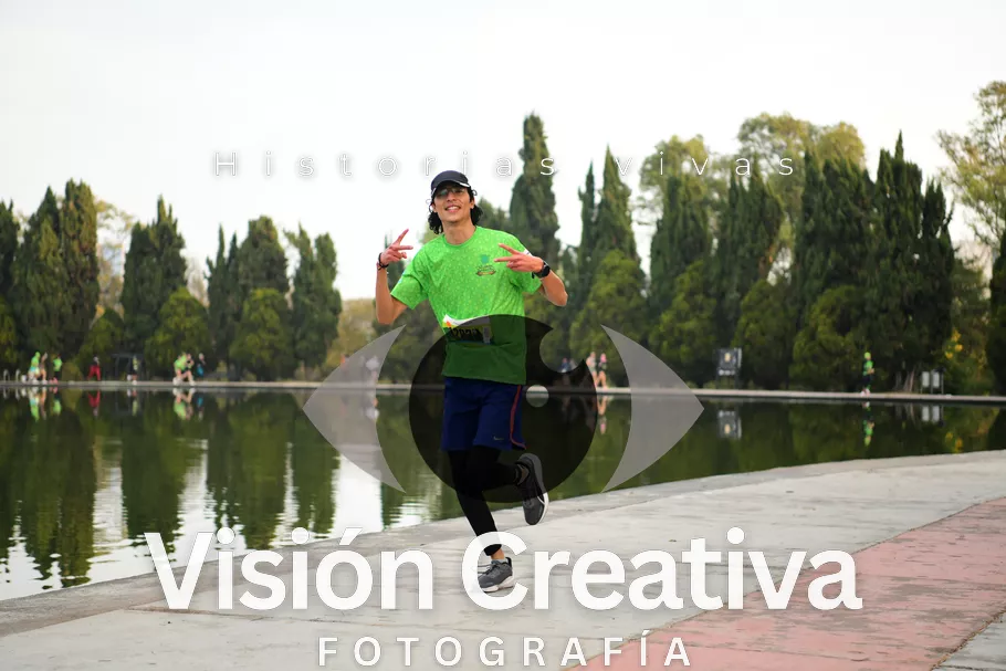 Foto del evento Shrek - CDMX 2026