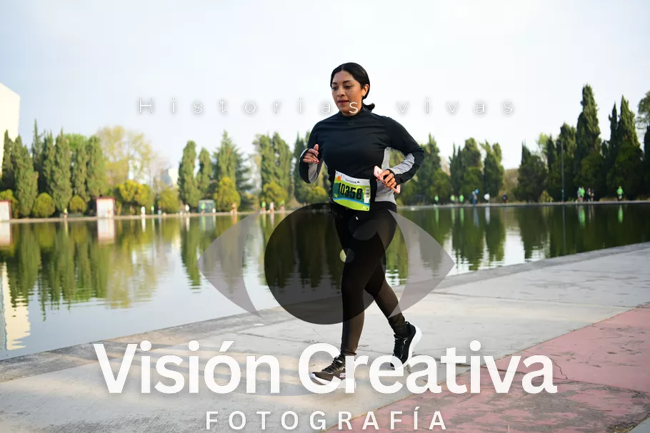 Foto del evento Shrek - CDMX 2026