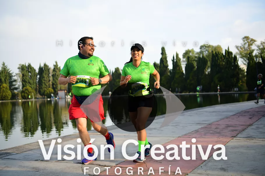 Foto del evento Shrek - CDMX 2026